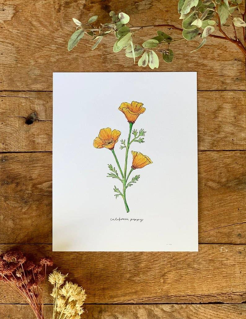 California Golden Poppy Wildflower | 8x10 Art Print - Sunday Golden