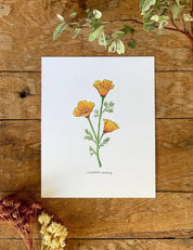 California Golden Poppy Wildflower | 8x10 Art Print - Sunday Golden