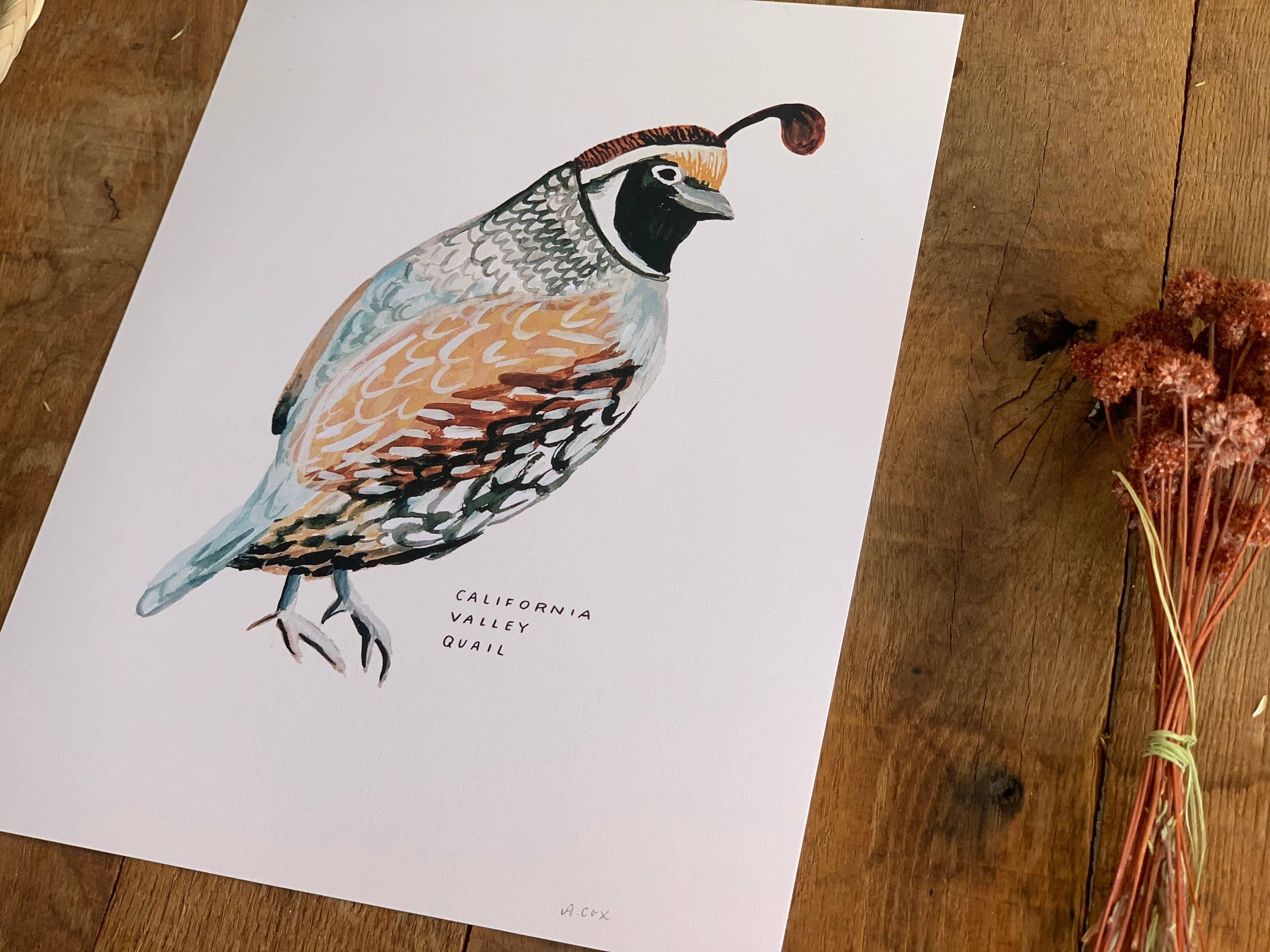 California Valley Quail Bird | 8x10 Art Print - Sunday Golden