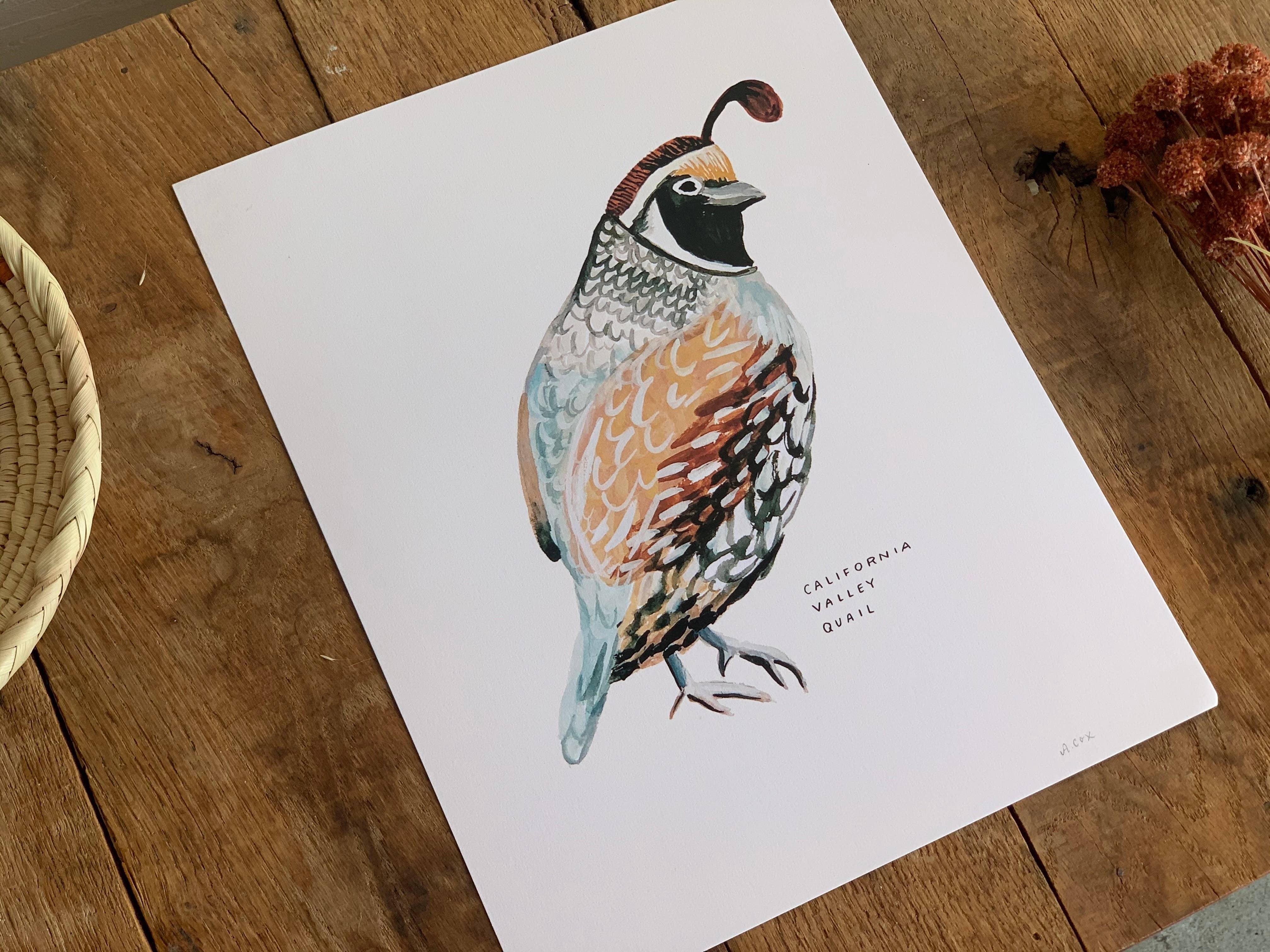 California Valley Quail Bird | 8x10 Art Print - Sunday Golden