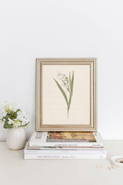 Vintage Flower | 11 x 14 Art Print - Sunday Golden