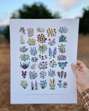 California Native Wildflowers Botanical | 11x14 Art Print Wall Decor - Sunday Golden