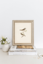 Birds Vintage | 11 x 14 Art Print - Sunday Golden