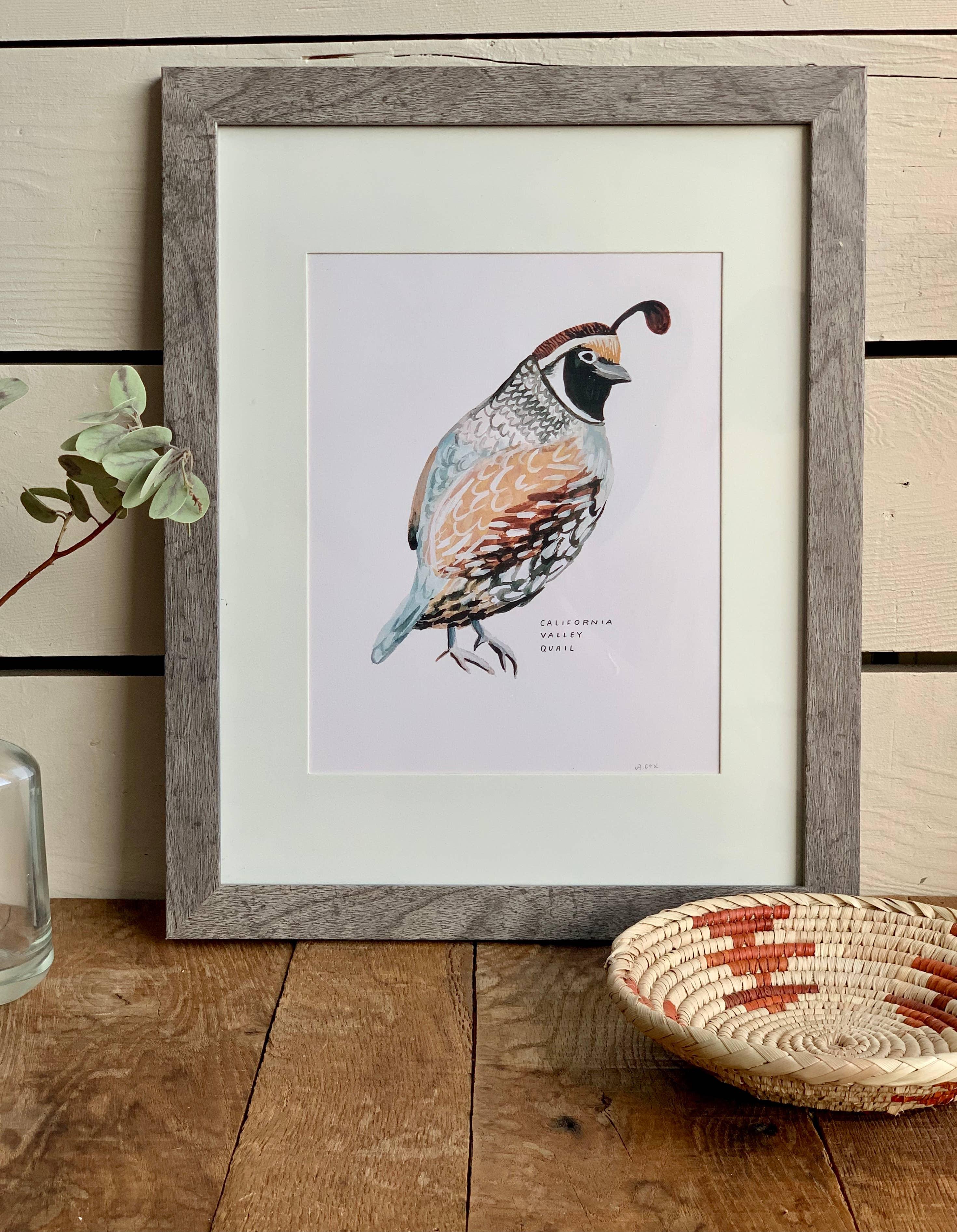 California Valley Quail Bird | 8x10 Art Print - Sunday Golden