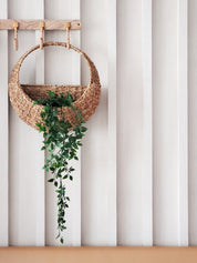 Seagrass hanging planter. Appropriately 15.5"round. sustainably handmade.