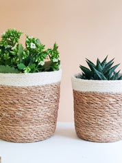 seagrass with natural jute accent at the top.  2 sizes. or set of 2. 