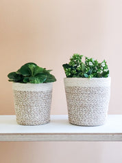 sturdy planter woven from soft jute yarn.  Natural, white. sustainably handmade. 2 sizes. 