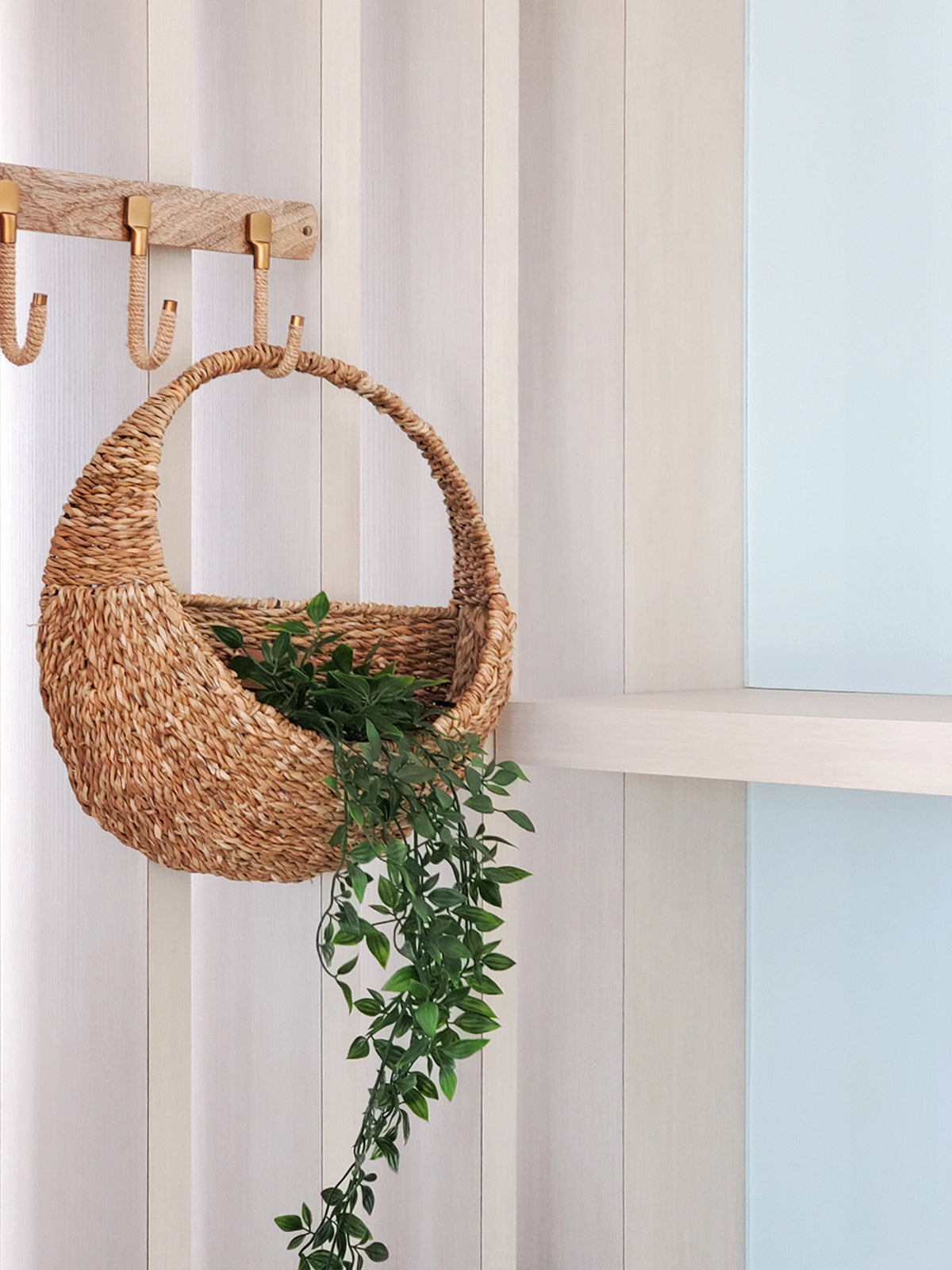 Seagrass hanging planter. Appropriately 15.5"round. sustainably handmade.