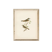 Birds Vintage | 11 x 14 Art Print - Sunday Golden