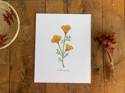 California Golden Poppy Wildflower | 8x10 Art Print - Sunday Golden