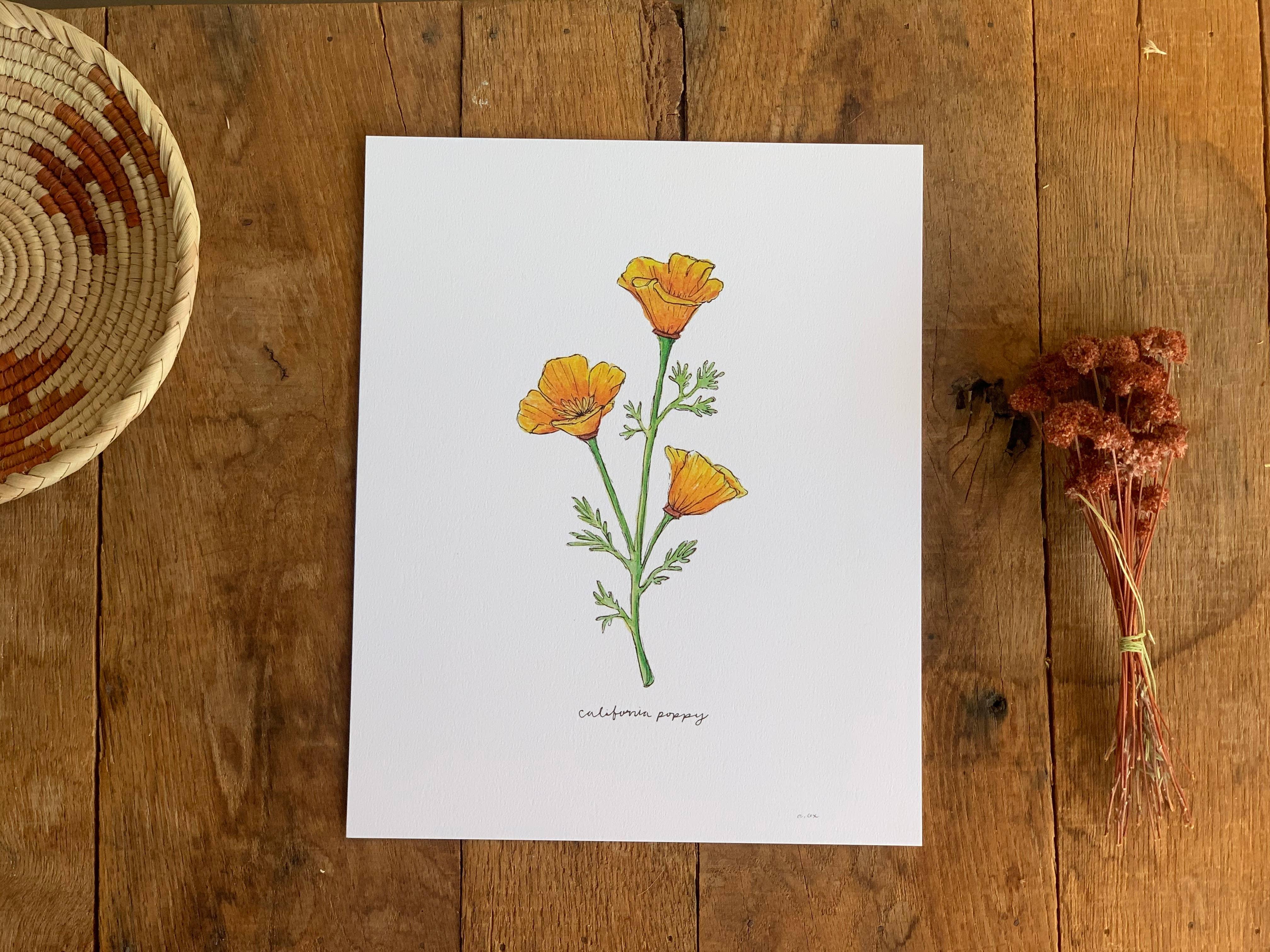 California Golden Poppy Wildflower | 8x10 Art Print - Sunday Golden