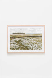 Flower Fields Vintage | 11 x 14 Art Print - Sunday Golden