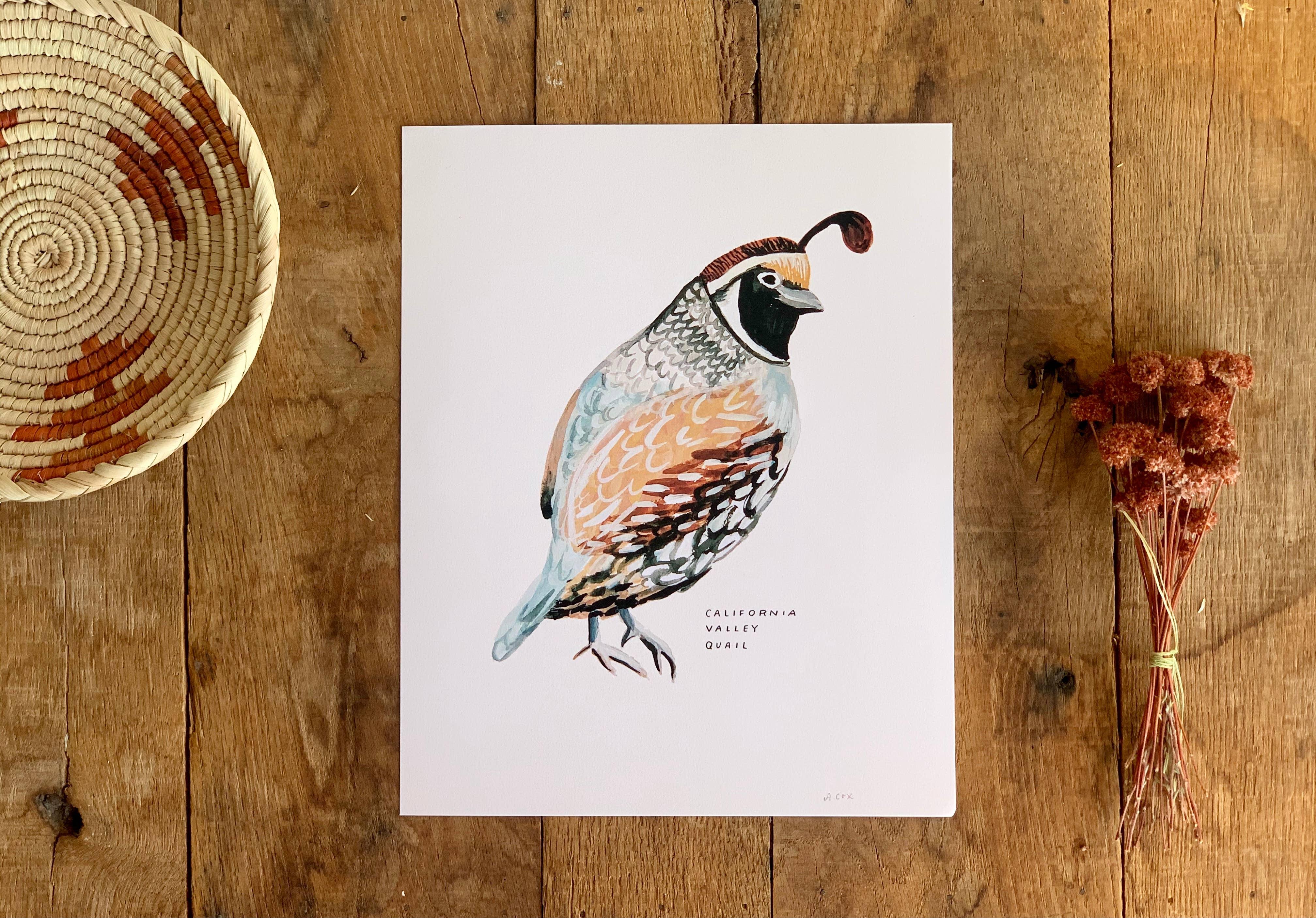 California Valley Quail Bird | 8x10 Art Print - Sunday Golden